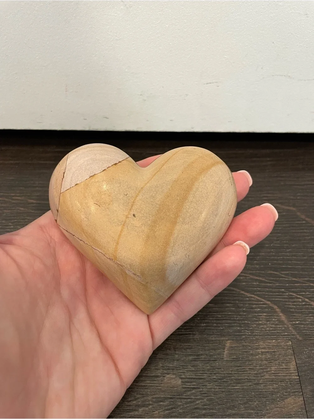 Petrified Wood Heart - Polished Stone, Natural Petrified Wood Paper Weight